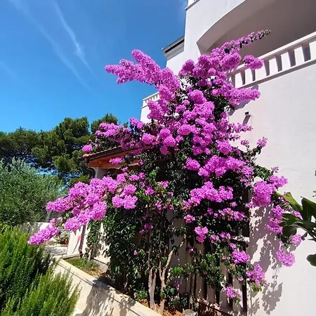 Apartmán Pinea Sol