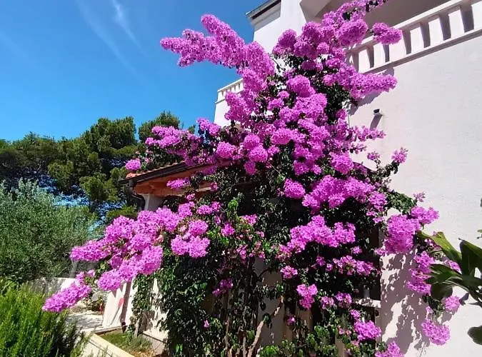 Appartement Pinea Sol